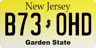 NJ license plate B73OHD