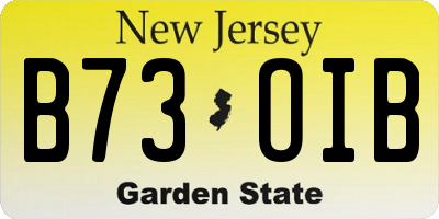 NJ license plate B73OIB