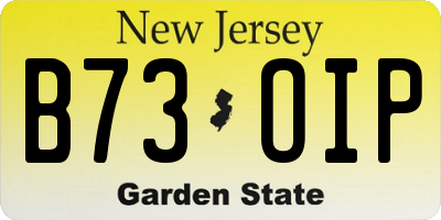 NJ license plate B73OIP