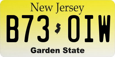 NJ license plate B73OIW