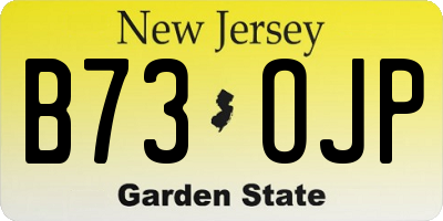 NJ license plate B73OJP