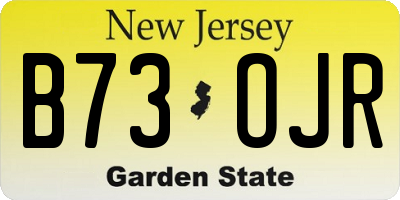 NJ license plate B73OJR