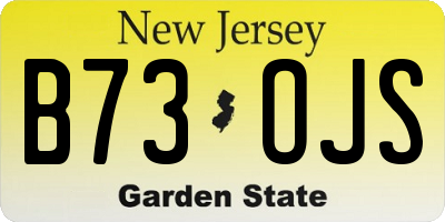 NJ license plate B73OJS