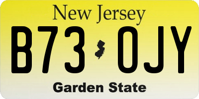 NJ license plate B73OJY