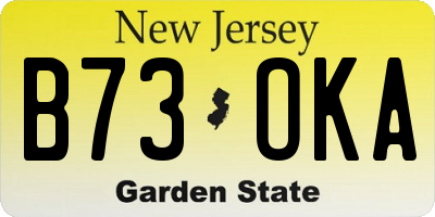 NJ license plate B73OKA