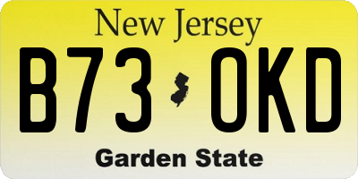 NJ license plate B73OKD