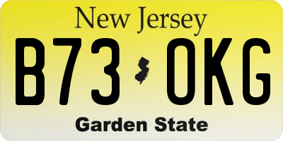 NJ license plate B73OKG