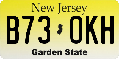 NJ license plate B73OKH