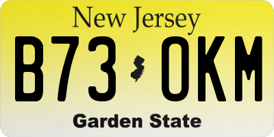 NJ license plate B73OKM
