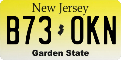 NJ license plate B73OKN