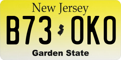 NJ license plate B73OKO