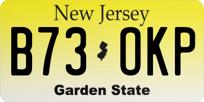 NJ license plate B73OKP