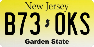 NJ license plate B73OKS