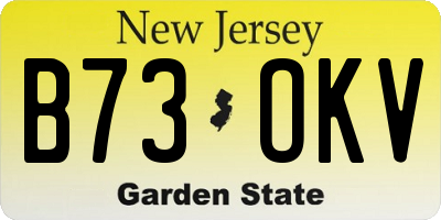 NJ license plate B73OKV