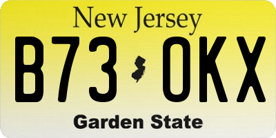 NJ license plate B73OKX