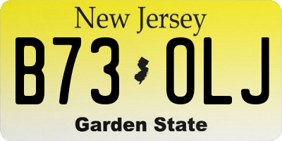NJ license plate B73OLJ