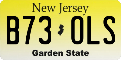NJ license plate B73OLS