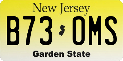 NJ license plate B73OMS