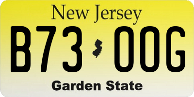 NJ license plate B73OOG