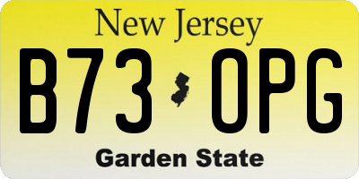 NJ license plate B73OPG