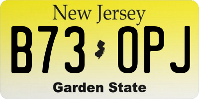 NJ license plate B73OPJ