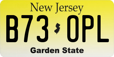 NJ license plate B73OPL