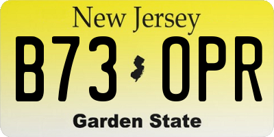 NJ license plate B73OPR