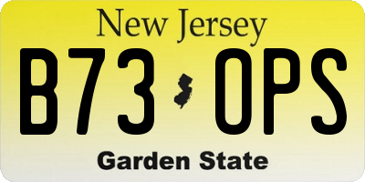 NJ license plate B73OPS