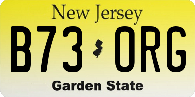 NJ license plate B73ORG