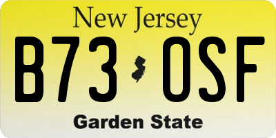 NJ license plate B73OSF
