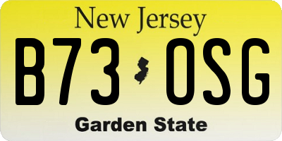NJ license plate B73OSG