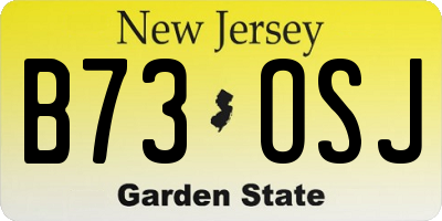 NJ license plate B73OSJ