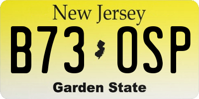 NJ license plate B73OSP