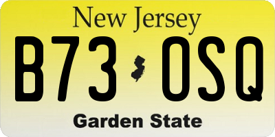 NJ license plate B73OSQ