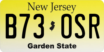 NJ license plate B73OSR