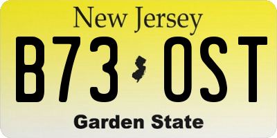NJ license plate B73OST