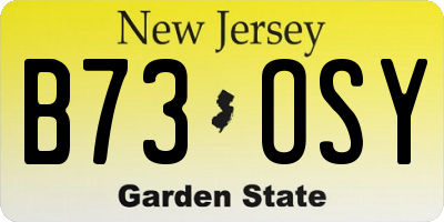 NJ license plate B73OSY
