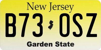 NJ license plate B73OSZ