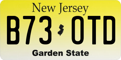 NJ license plate B73OTD