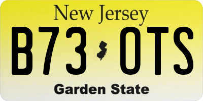 NJ license plate B73OTS