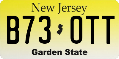 NJ license plate B73OTT
