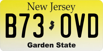 NJ license plate B73OVD