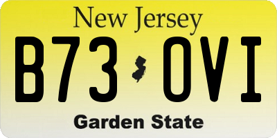 NJ license plate B73OVI
