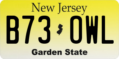 NJ license plate B73OWL