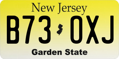 NJ license plate B73OXJ