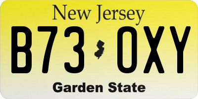 NJ license plate B73OXY