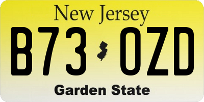 NJ license plate B73OZD