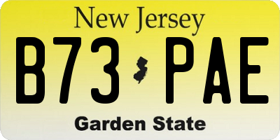 NJ license plate B73PAE