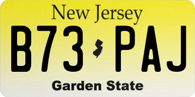 NJ license plate B73PAJ