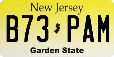 NJ license plate B73PAM
